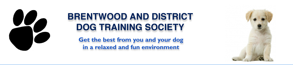Brentwood and District Dog Training Society